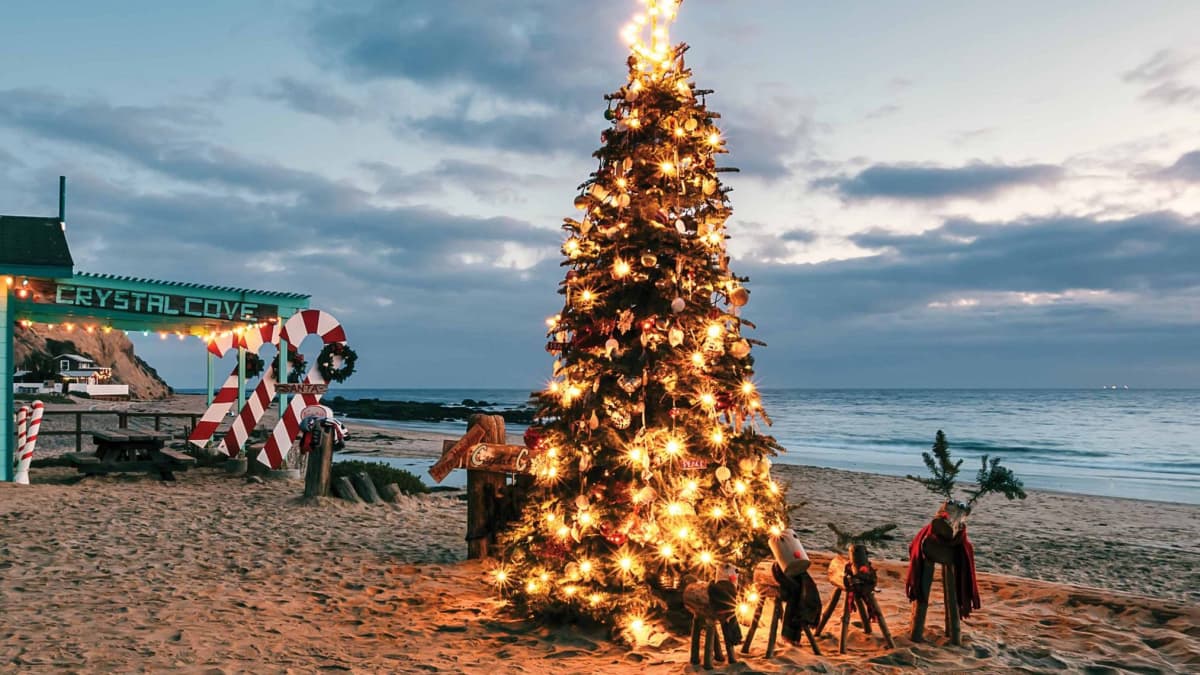 Crystal Cove lights coastal Christmas tree – Orange County Register