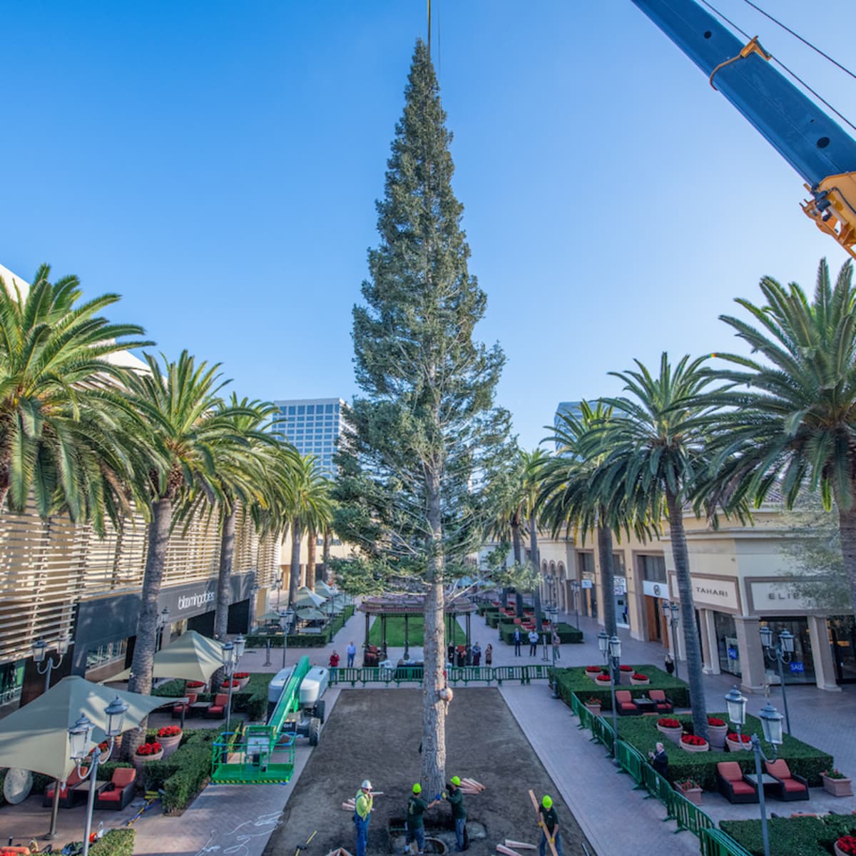 Fashion island christmas tree top