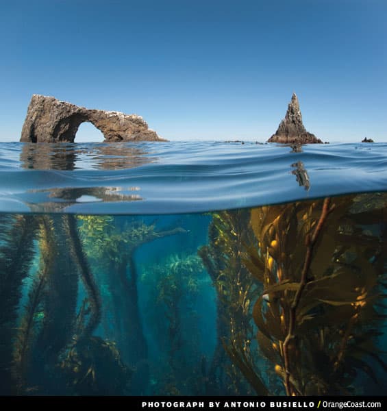 Channel Islands National Park - Orange Coast Mag