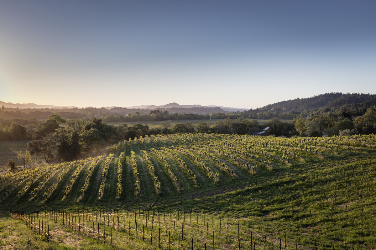 Seek Dry Creek Valley for Your BBQ Zin - Orange Coast Mag