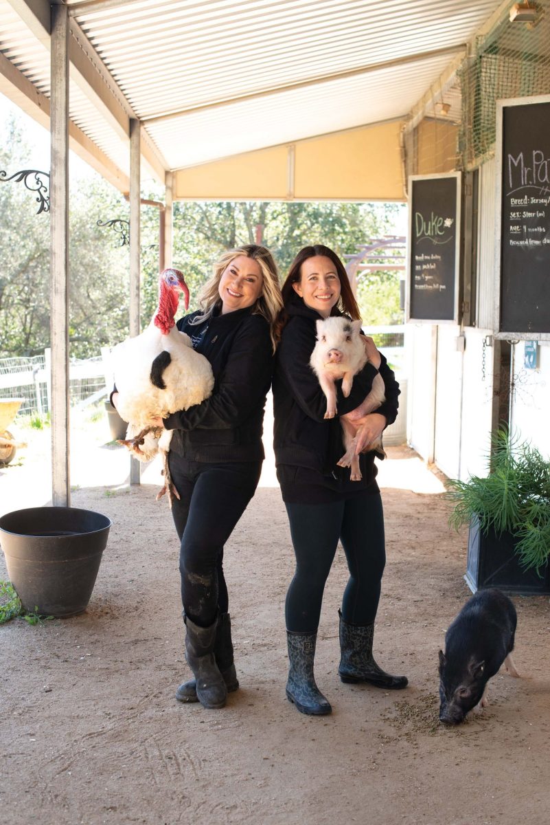 Farmhouse Rescue is Dedicated to Rescuing Animals and Helping People  Through Tough Times - Orange Coast Mag