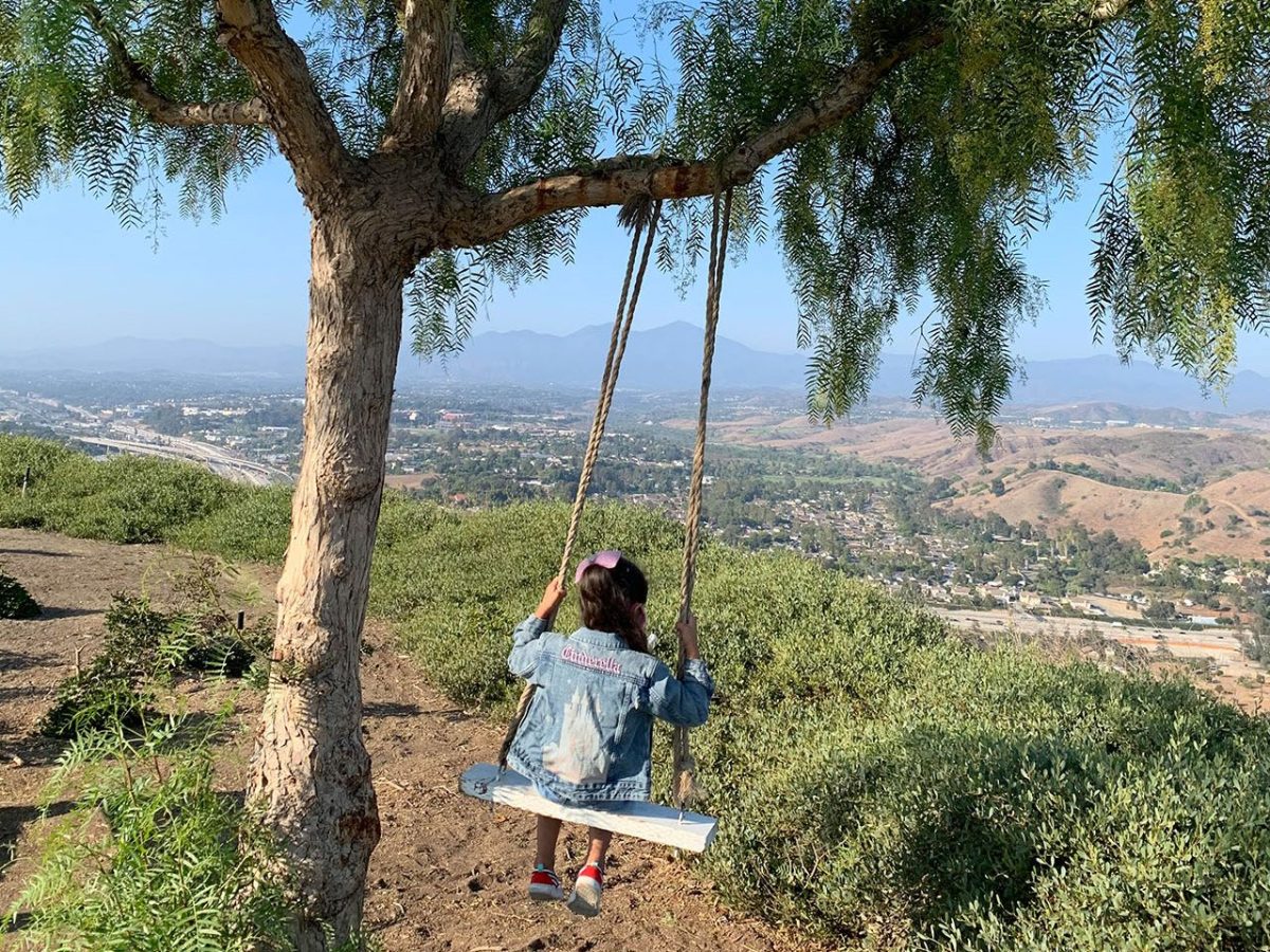In Plain Sight: A Surprise Rope Swing Overlooking Saddleback in