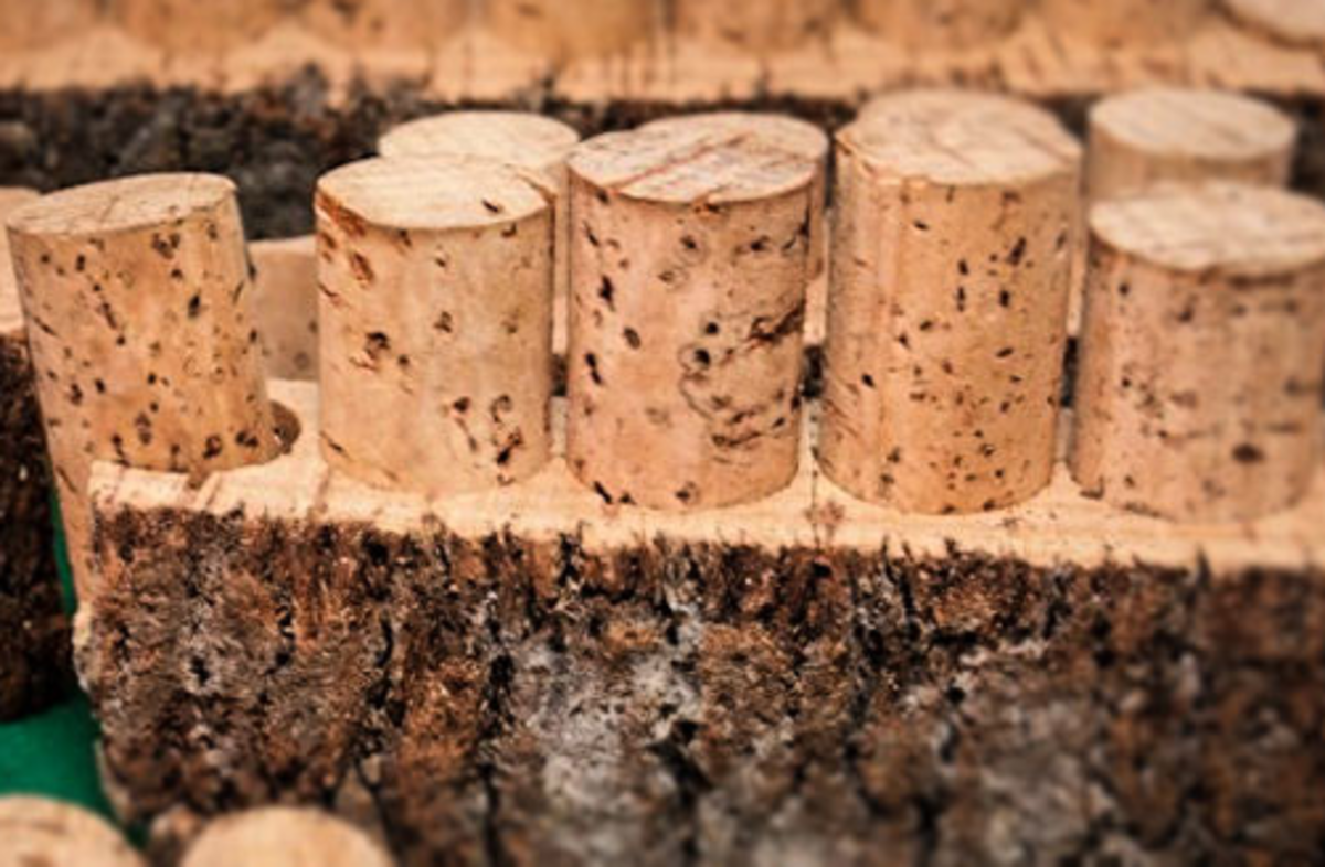 Cork Gaining More Traction As a Preferred Wine Closure - Orange Coast Mag