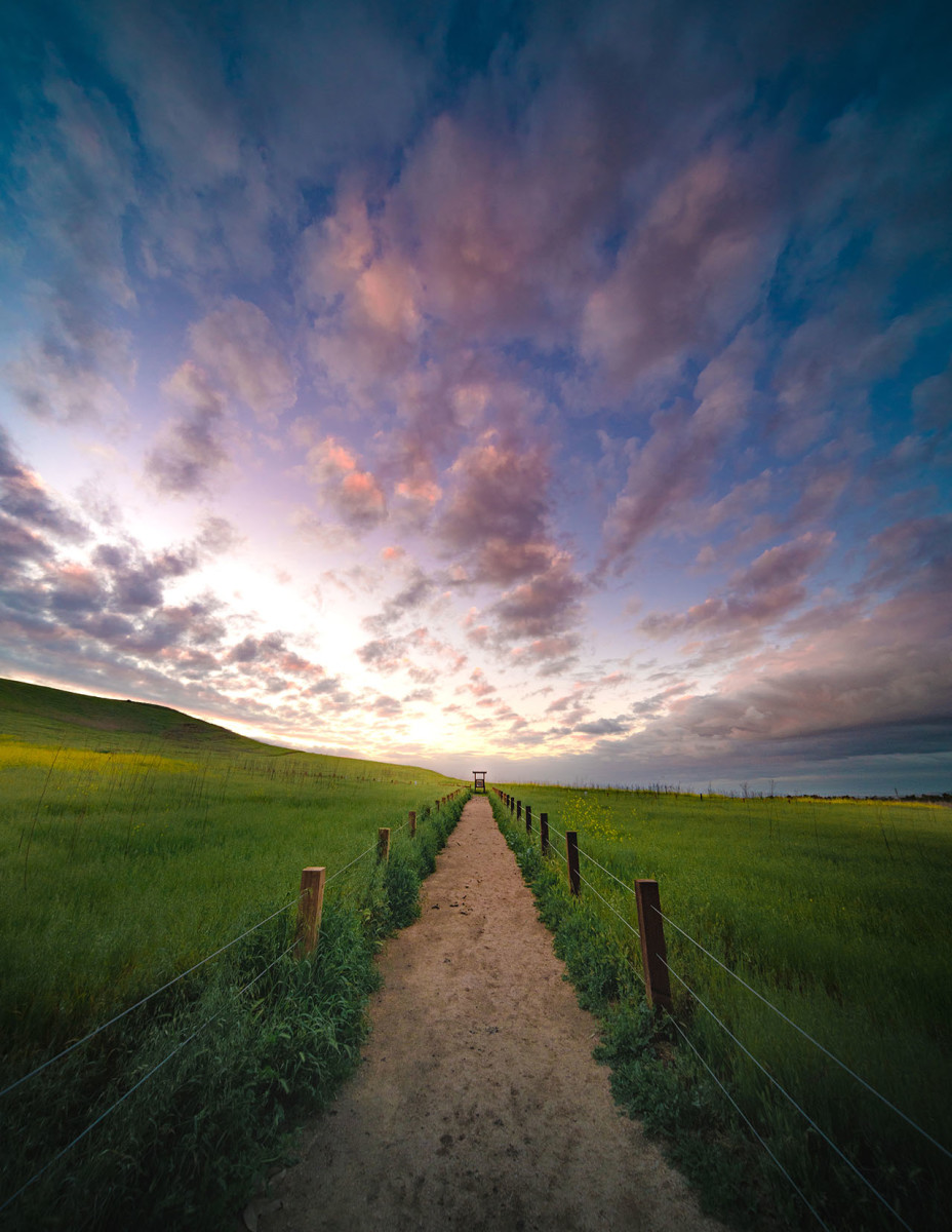 A Verdant Field in Irvine: Quail Hill Trailhead - Orange Coast Mag