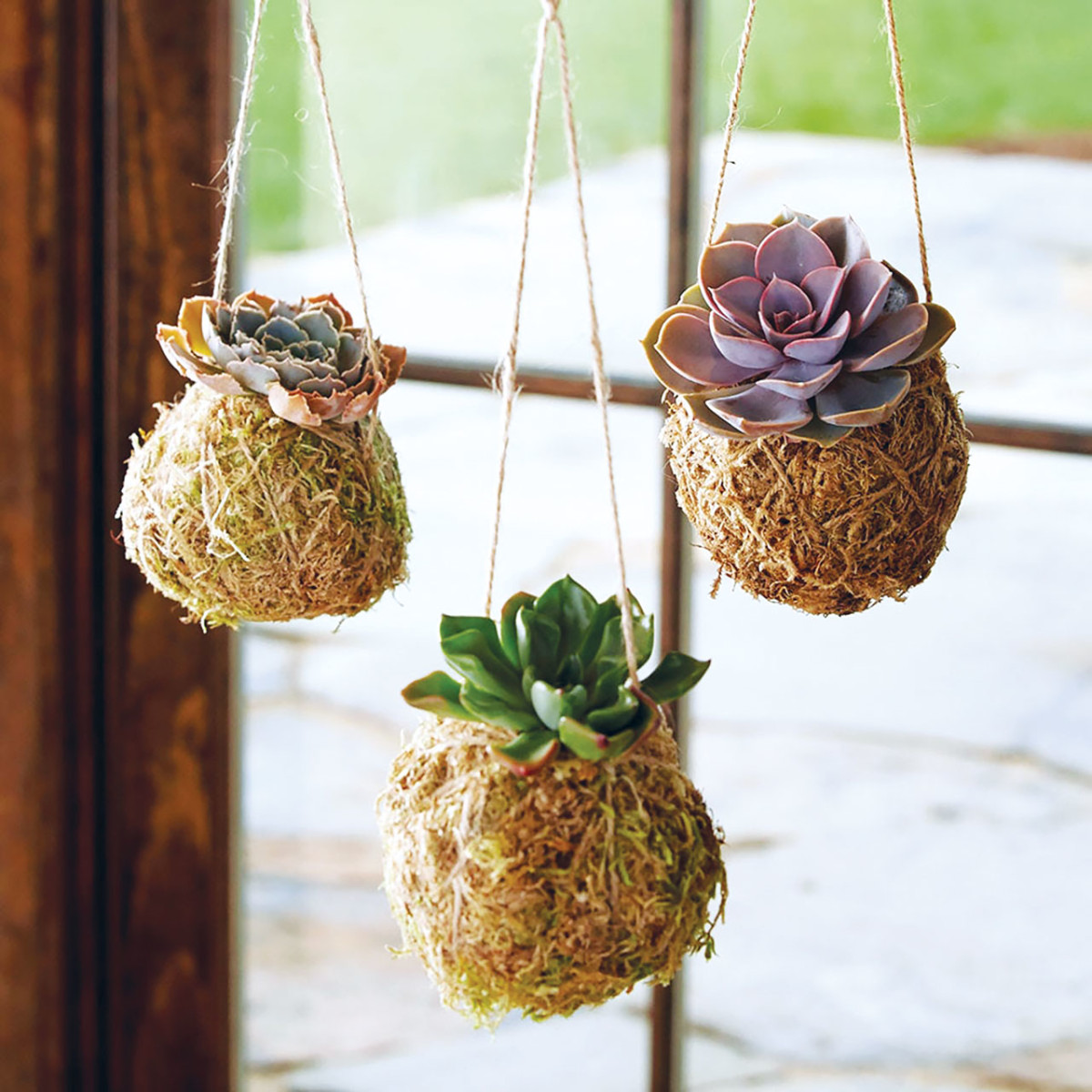 Kokedama photograph courtesy of Dragonfly Shops & Gardens