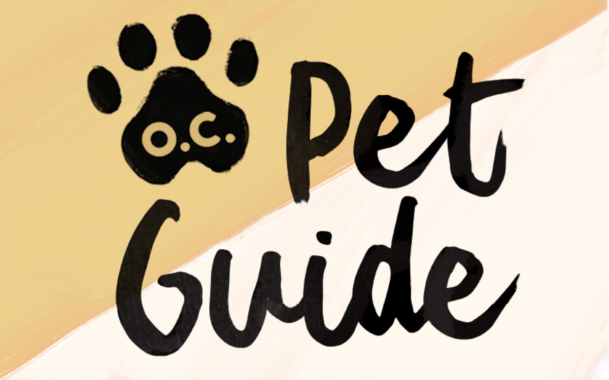 Calling all pet lovers! Spoil your furry friends (or a fellow pet