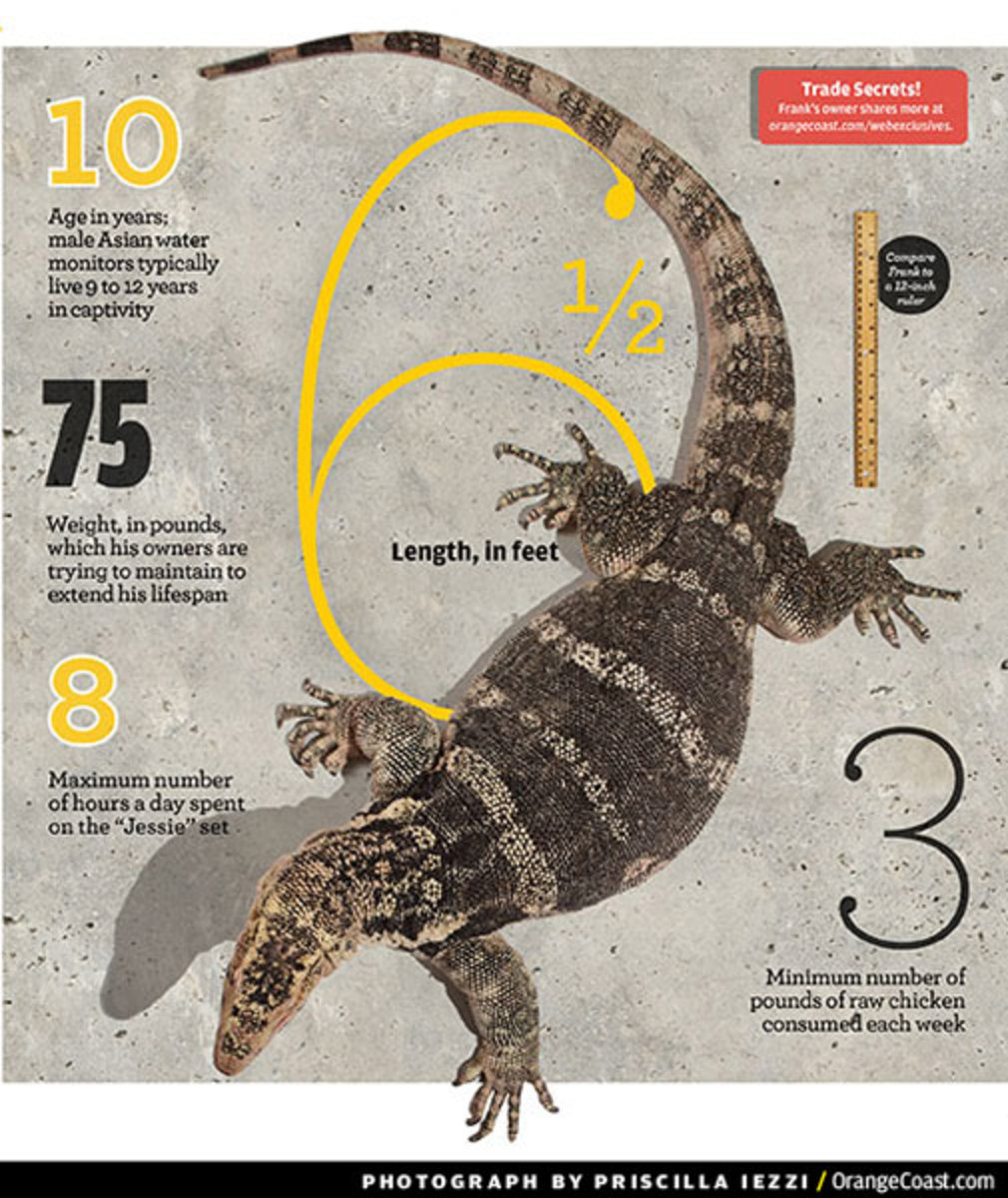 Jay Brewer Jay Brewer, Lizard Lord - Orange Coast Mag
