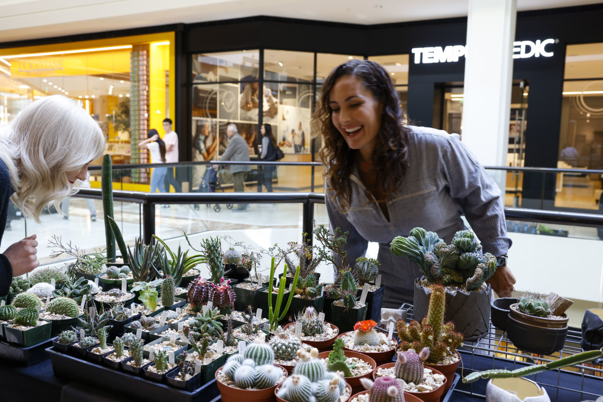 Head to South Coast Plaza’s 34th Annual Spring Garden Show April 25 Through 28 Orange Coast Mag