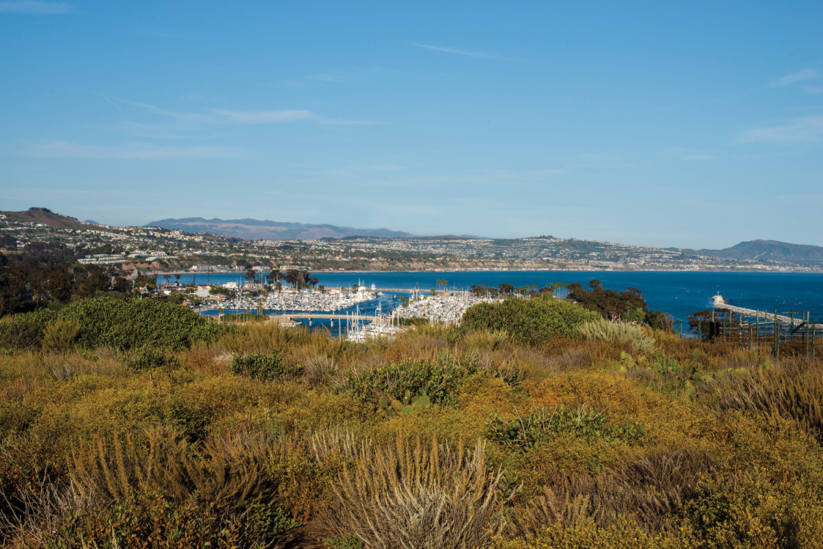 36 Hours on PCH: Dana Point - Orange Coast Mag